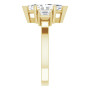 Additional Yellow 4 Image img