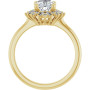 Additional Yellow 2 Image img