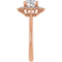 Additional Rose 4 Image img
