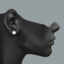 Pave Diamond Earrings in Sterling Silver 0.05ct on the body img