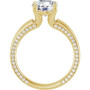 Additional Yellow 2 Image img