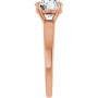 Additional Rose 4 Image img