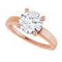 Additional Rose 5 Image img