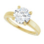 Additional Yellow 5 Image img