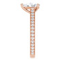 Additional Rose 4 Image img