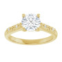 Additional Yellow 3 Image img