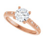 Additional Rose 5 Image img