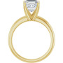 Additional Yellow 2 Image img