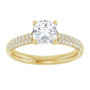 Additional Yellow 3 Image img
