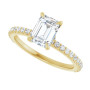 Additional Yellow 5 Image img